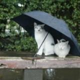 112位のイメージ