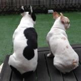 2015位のイメージ