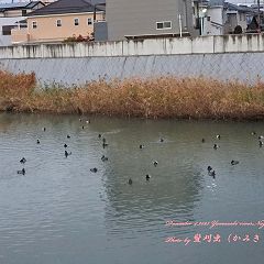 57位のイメージ