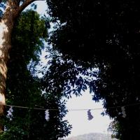 65位のイメージ