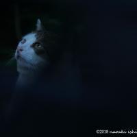 42位のイメージ