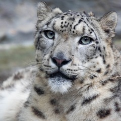 11位のイメージ