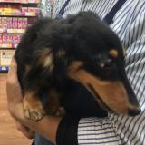 13位のイメージ