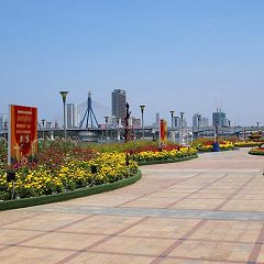 51位のイメージ