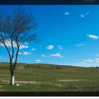 132位のイメージ