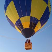 29位のイメージ