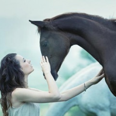 13位のイメージ