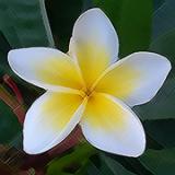 57位のイメージ