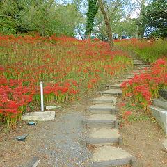 72位のイメージ