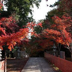 14817位のイメージ