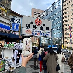 25位のイメージ