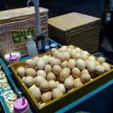 31位のイメージ