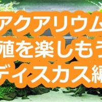 122位のイメージ