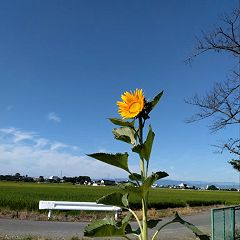 22位のイメージ