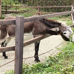 22位のイメージ