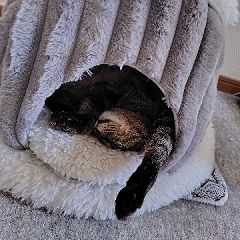 22位のイメージ