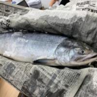 12位のイメージ