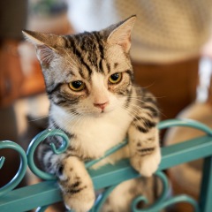 45位のイメージ