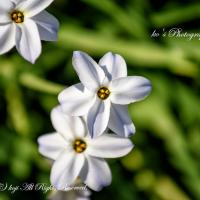 28位のイメージ