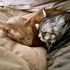 17位のイメージ