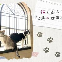 47位のイメージ