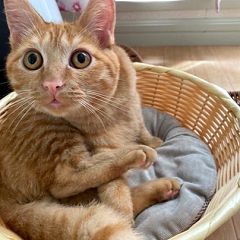 13位のイメージ