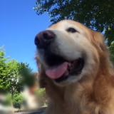 10位のイメージ