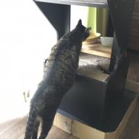 15位のイメージ