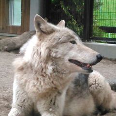 27位のイメージ