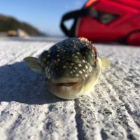 17位のイメージ