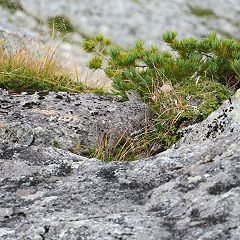 46位のイメージ