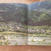 51位のイメージ