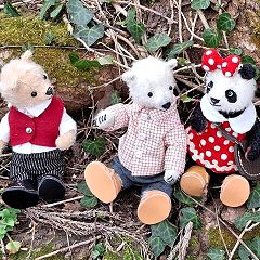 29位のイメージ