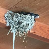 34位のイメージ