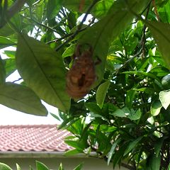 15位のイメージ