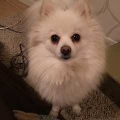 2262位のイメージ