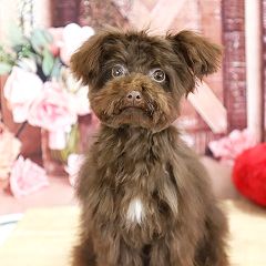 87位のイメージ