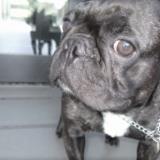 15位のイメージ