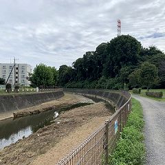 91位のイメージ