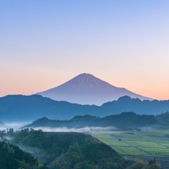 211位のイメージ