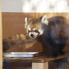 22位のイメージ