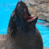 52位のイメージ