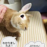 26位のイメージ