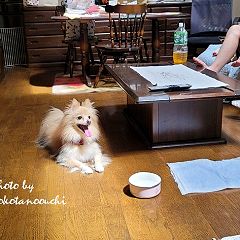 55位のイメージ