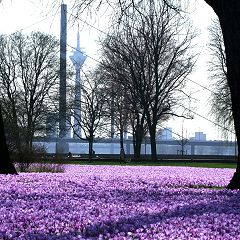 30位のイメージ