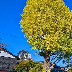 22位のイメージ