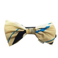 29位のイメージ