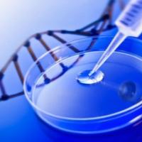 14位のイメージ