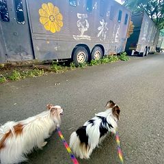 30位のイメージ