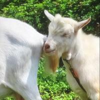 5位のイメージ